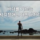 SWIM 전국체전 오픈워터 훈련 이미지