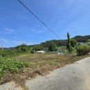 서면파출소 이미지