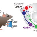이* 농민신문
