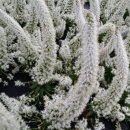 황토 농장 이미지