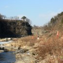 동지섣달 꽃본듯이 이미지