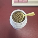 대실한의원 | [대구]대실한의원 다이어트 4-17일차 내돈내산