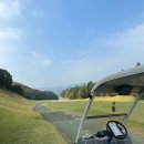 Owner Golf