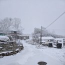 이례로-4 이미지