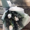 시가자도 이미지