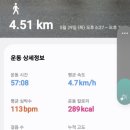 식산봉의 황근자생지 및 상록활엽수림 | 저녁시간 오조리 산책