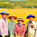 특미집 이미지
