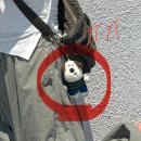 이마상사 김포지점 | 얼레벌레 제주 여행일기 3-4일차 | 술로 가득찬 일상