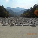 제128차 10월 26일 청록 산악회 넷째주 일요일 산행 (강원도 인재 백담사 영시암 산행 이미지