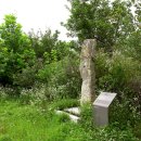 국곡리 고인돌 이미지