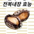 전복 먹으면 효능 안효능 칼로리 전복내장 이미지