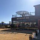 일로 | 전남 무안 일로 모리아101 브런치 맛집 후기