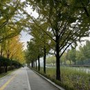 위례성대로 이미지