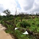 산방산탑부동산공인중개사사무소 이미지