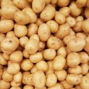 호박동물병원 이미지