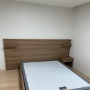 레드월넛