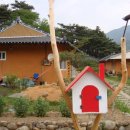 섬진다원 이미지