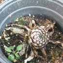 금원농장 이미지