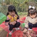 행복한아이어린이집 이미지