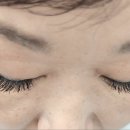단디뷰티