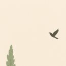 ＜The Poplar Tree, the River, and the Bird＞ THIRTEEN 윤동재 시인의 ＜미루나무와 강물과 새＞ 이미지