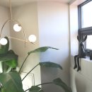 더플레인 이미지