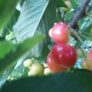 성숙농장 이미지