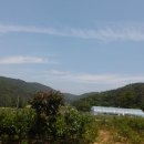 왕림휴게소