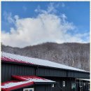 자연과 펜션 이미지