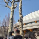 디톡스 콘서트 | 원 오크 락 내한 One Ok Rock 디톡스 아시아 투어 2026 서울 후기