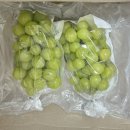 김진호농장 | [팜투미 구매후기] 팜투미 달달구리 샤인머스켓 , 선물로 좋은 과일 팜투미 샤인머스켓