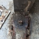 서광동물병원 이미지