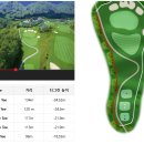 티그린 골프존 이미지