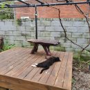 커피안뜰 이미지