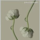 시립동부노인전문요양센터 | 동부노인전문요양센터 전문 요양 서비스 제공