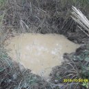 팔공목욕탕 이미지