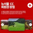 뉴서울 티스토리