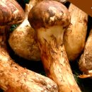 고래산농장 이미지