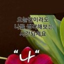 일인 이미지