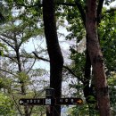 대전둘레산길(1구간) | 대전둘레산길1구간 보문산길, 시루봉에서 금동고개