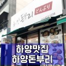 하양돈부리 이미지