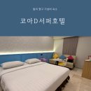 제주코아 관광호텔 | 발리 짱구 가성비 숙소 코아D서퍼호텔 내돈내산 핀스비치클럽 근처
