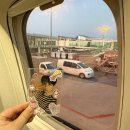 애스코 | 시골쥐의 우사합 올출 후기