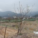 청솔농장 이미지