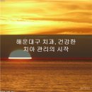 미소를만드는치과교정과치과의원 | 해운대구 치과, 건강한 치아 관리를 위한 필수 상식 가이드