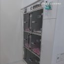 라이언펫 수원광교동물병원 이미지