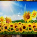 파워DC마트 이미지