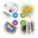 백암고등학교 - 용인시 처인구 | 백암고등학교