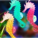 용인테리어수족관 이미지