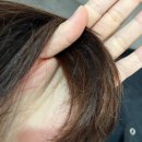 성신여자대학교박물관 | 성신여대 미용실 💇‍♀️앙비떼살롱 아윤채 클리닉 후기